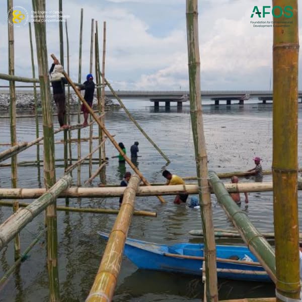construction of fish pen 1(1)