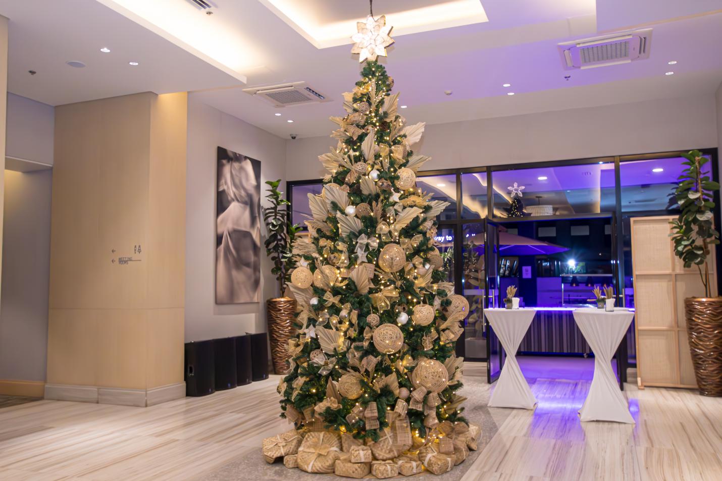 00 ChirstmasTreeLighting(1)